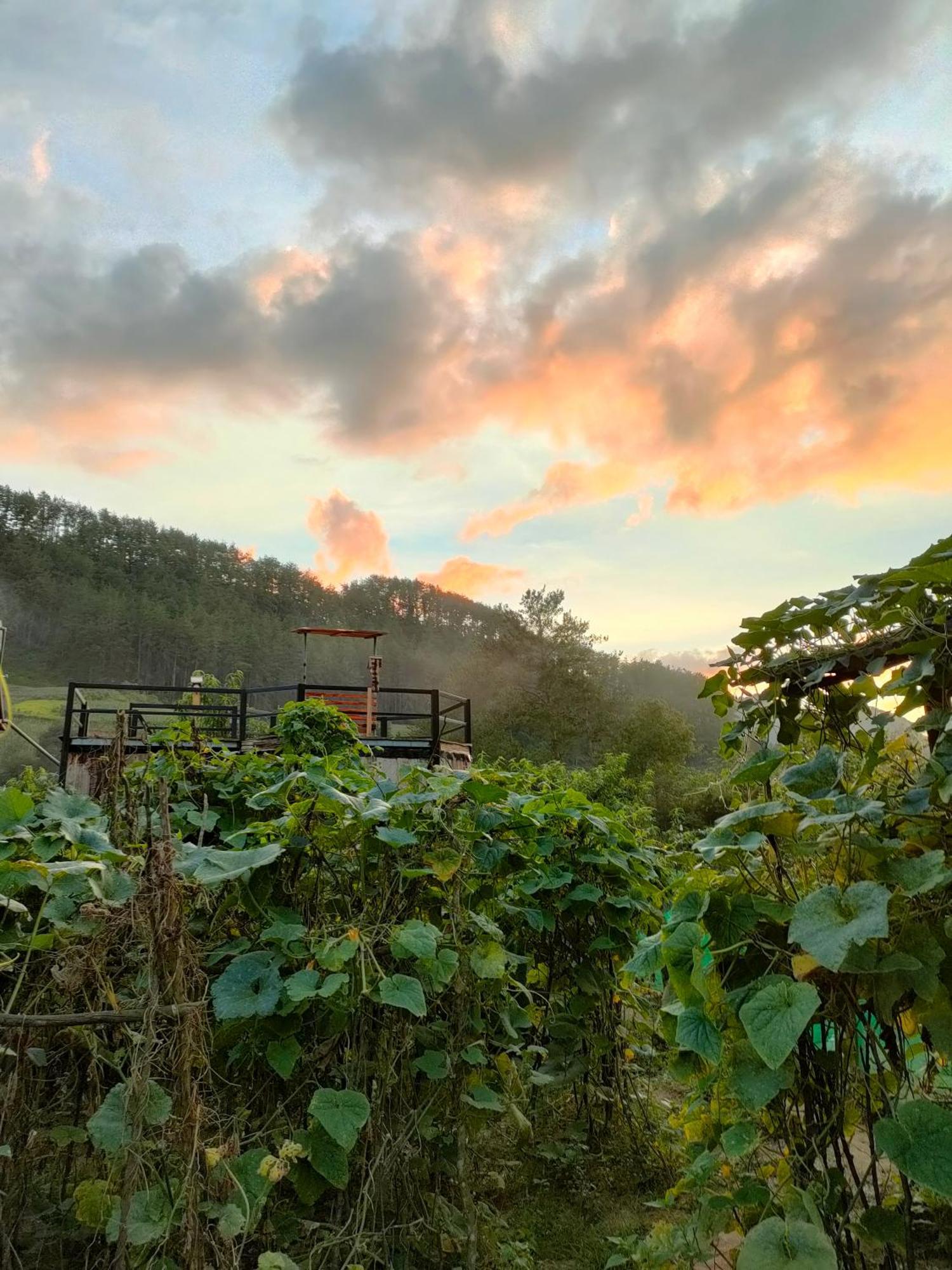 Mu Cang Chai Backpacker Hostel Exterior photo