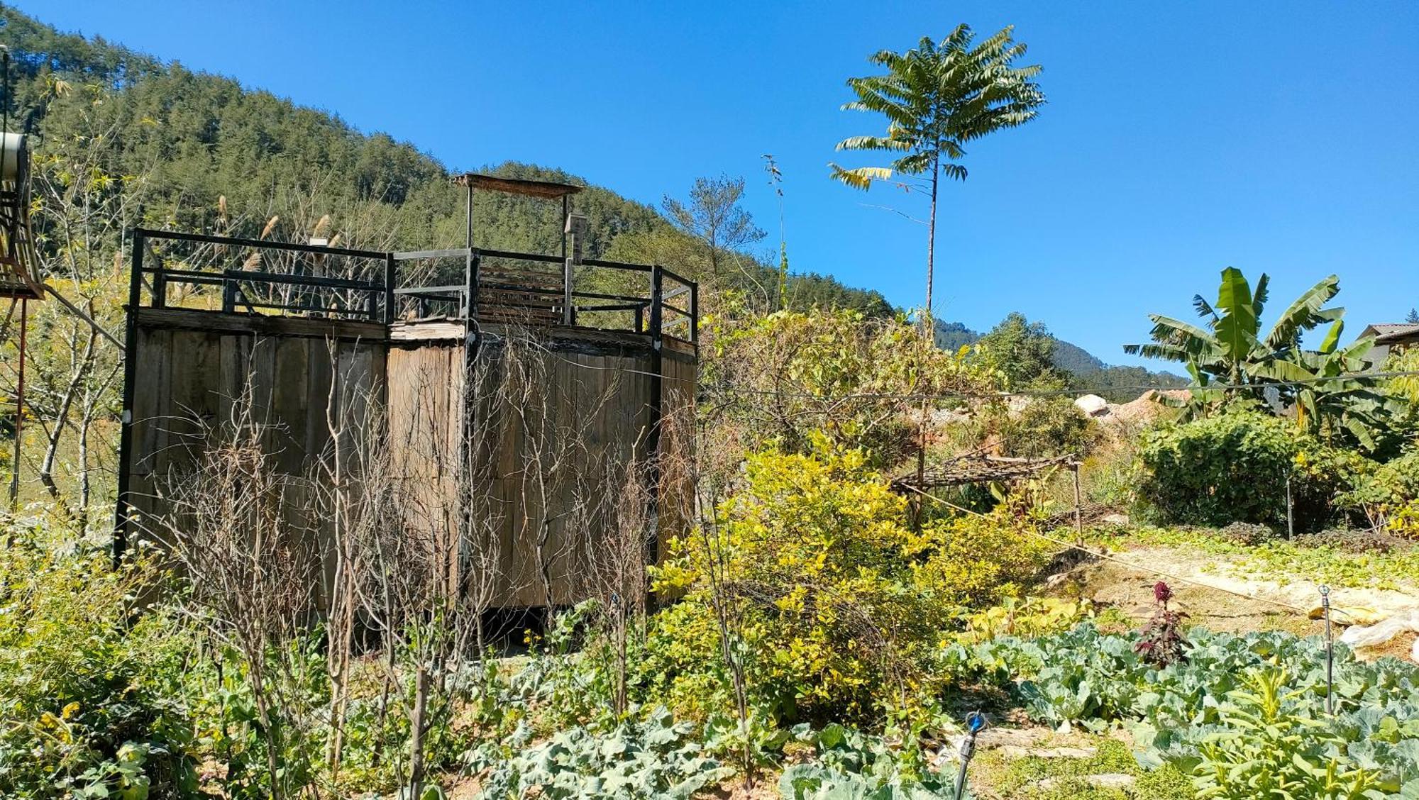 Mu Cang Chai Backpacker Hostel Room photo