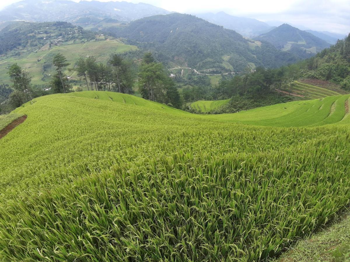 Mu Cang Chai Backpacker Hostel Exterior photo