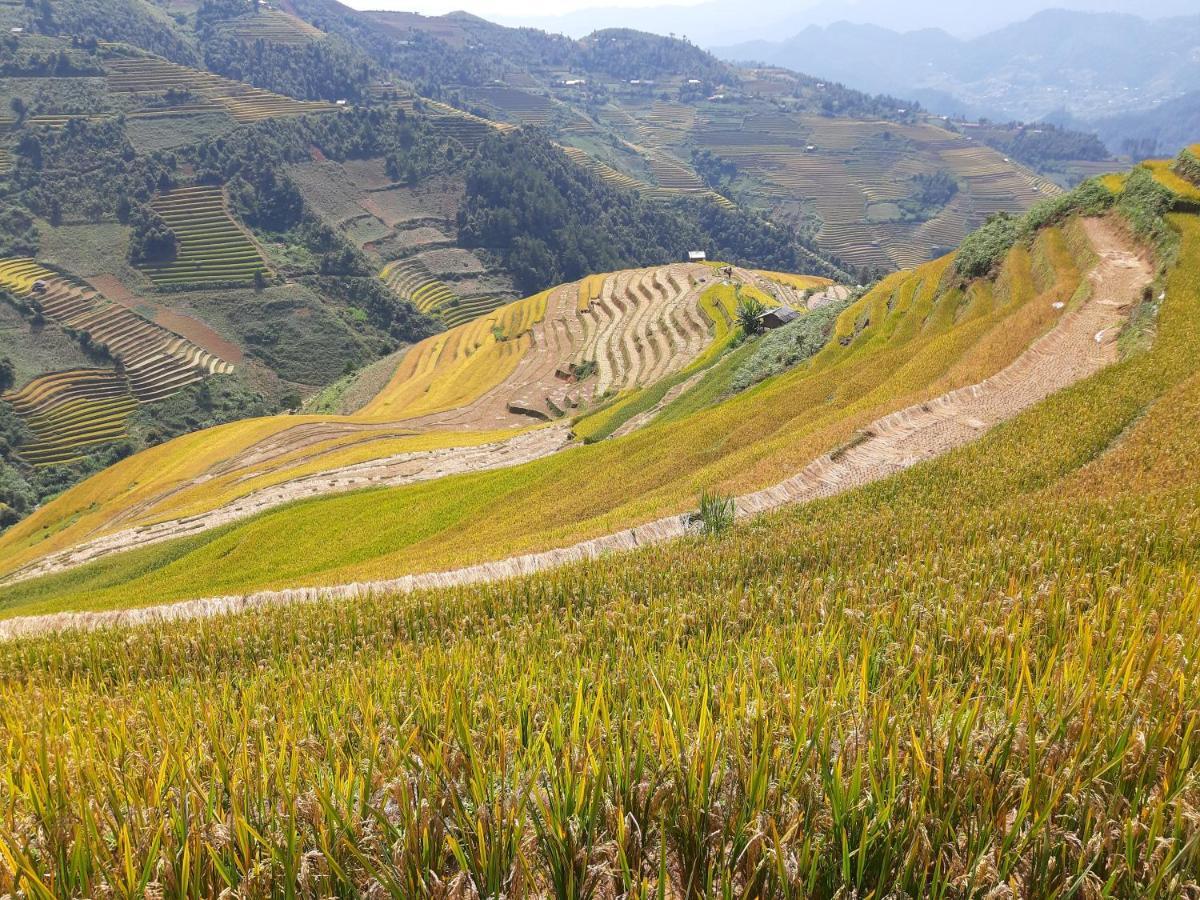 Mu Cang Chai Backpacker Hostel Exterior photo